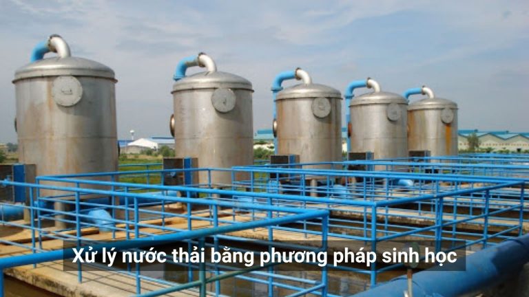 TẠI SAO PHƯƠNG PHÁP SINH HỌC  ĐƯỢC ƯU TIÊN
